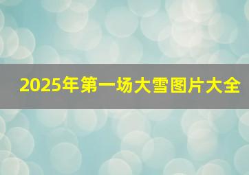 2025年第一场大雪图片大全