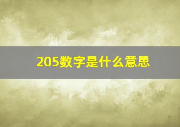 205数字是什么意思