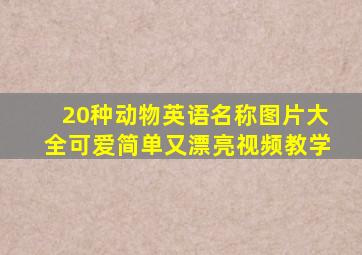 20种动物英语名称图片大全可爱简单又漂亮视频教学