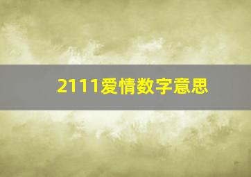 2111爱情数字意思