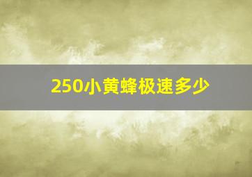 250小黄蜂极速多少