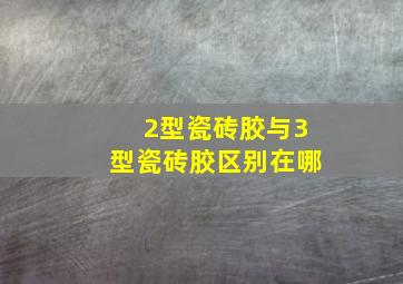 2型瓷砖胶与3型瓷砖胶区别在哪