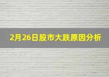 2月26日股市大跌原因分析