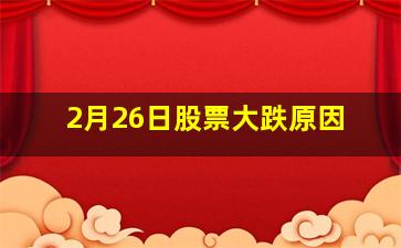 2月26日股票大跌原因