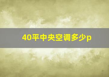 40平中央空调多少p