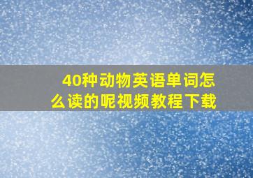 40种动物英语单词怎么读的呢视频教程下载