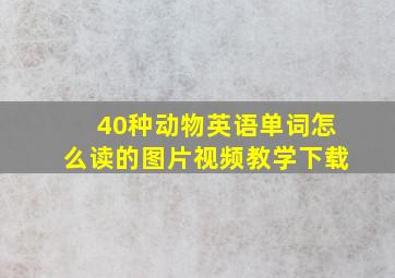 40种动物英语单词怎么读的图片视频教学下载