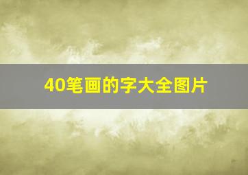 40笔画的字大全图片