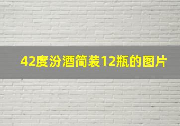 42度汾酒简装12瓶的图片