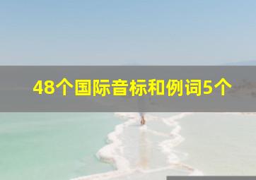 48个国际音标和例词5个