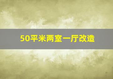 50平米两室一厅改造