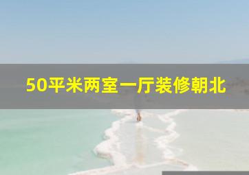 50平米两室一厅装修朝北