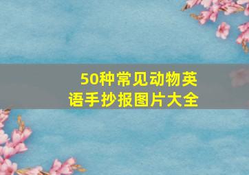 50种常见动物英语手抄报图片大全