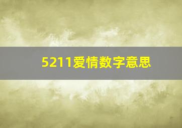 5211爱情数字意思