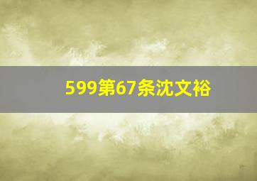 599第67条沈文裕