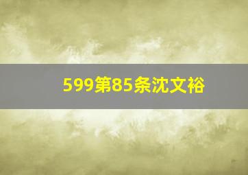 599第85条沈文裕