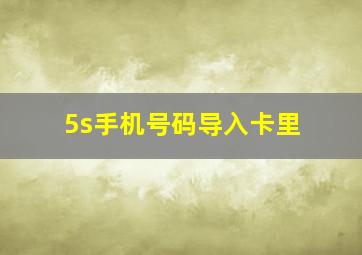 5s手机号码导入卡里