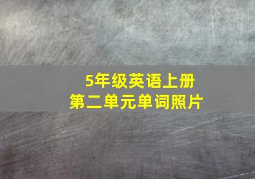 5年级英语上册第二单元单词照片