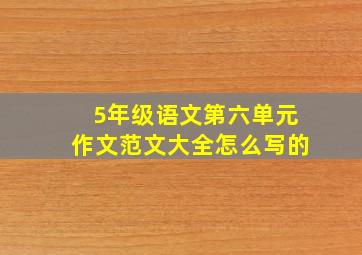 5年级语文第六单元作文范文大全怎么写的