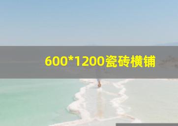 600*1200瓷砖横铺