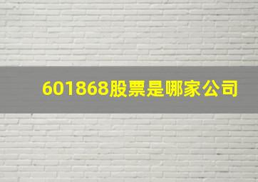 601868股票是哪家公司