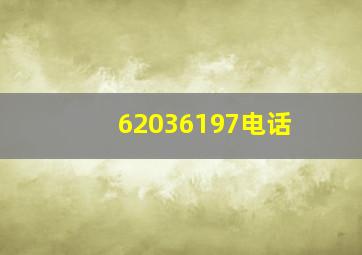 62036197电话