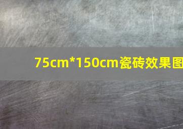 75cm*150cm瓷砖效果图