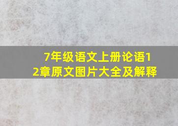 7年级语文上册论语12章原文图片大全及解释