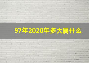 97年2020年多大属什么