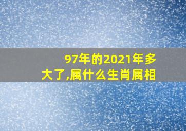 97年的2021年多大了,属什么生肖属相