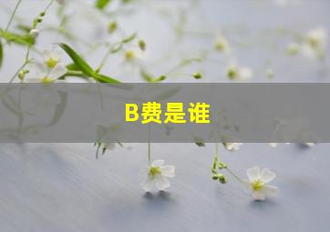 B费是谁