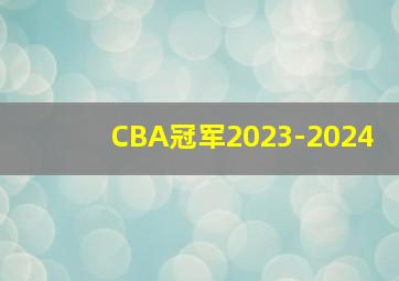 CBA冠军2023-2024