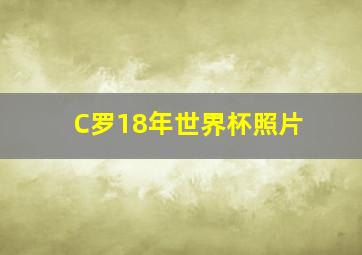 C罗18年世界杯照片