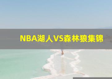 NBA湖人VS森林狼集锦