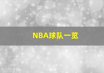 NBA球队一览