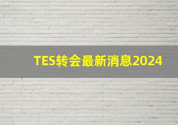 TES转会最新消息2024