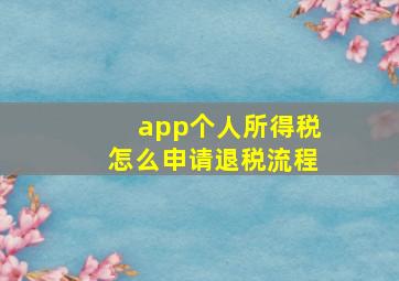 app个人所得税怎么申请退税流程