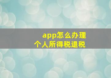 app怎么办理个人所得税退税