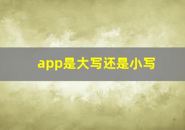 app是大写还是小写