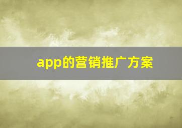 app的营销推广方案