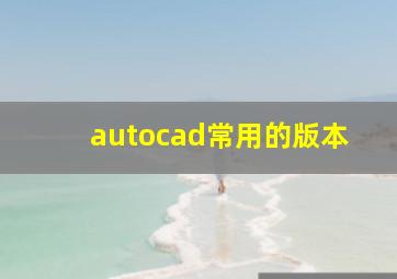 autocad常用的版本