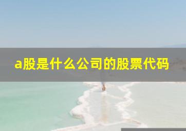 a股是什么公司的股票代码