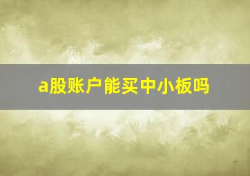 a股账户能买中小板吗