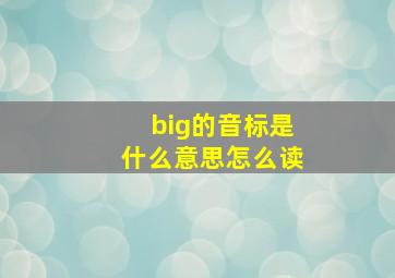 big的音标是什么意思怎么读