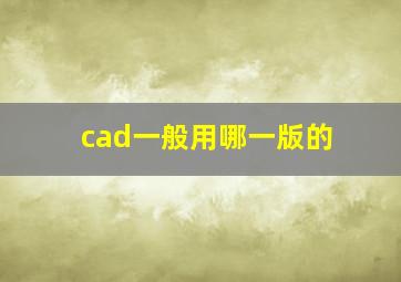 cad一般用哪一版的