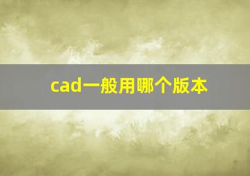 cad一般用哪个版本