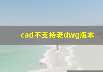 cad不支持老dwg版本