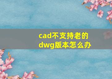 cad不支持老的dwg版本怎么办