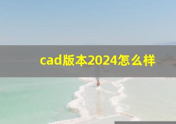 cad版本2024怎么样