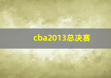 cba2013总决赛